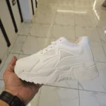 كوتشي رياضي عصري - مستر كوتشي مصر أحدث الموديلات 2026