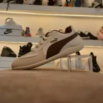 puma pro Brown — صورة المنتج